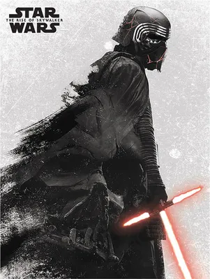 Produktbild von Pyramid International WDC12124, 1 Stück(e), Star Wars, Rechteck