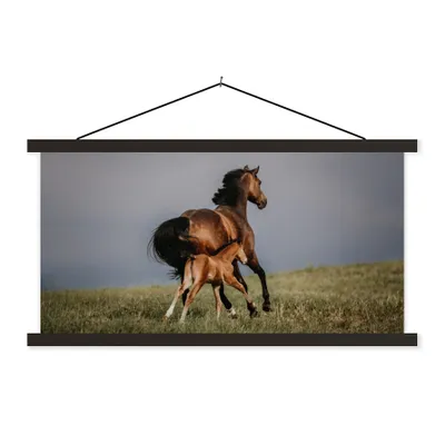 Produktbild von MuchoWow® Textilposter Tiere - Pferde - Fohlen 60x30 cm mit schwarzem Rahmen - Textilien
