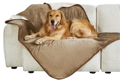 Produktbild von Wasserdichtes Hundedecke 152 x 127 cm, Waschbar
