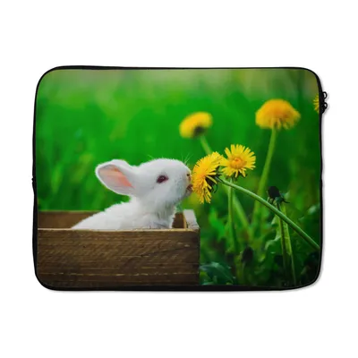 Produktbild von MuchoWow® Laptop Hülle 15 Zoll Kaninchen - Löwenzahn - Gras Laptoptasche - Laptoptasche - Sleeve - Rundum-Schutz