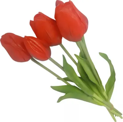 Produktbild von Dekorative Blumen Blumenstrauß Tulpe rot rot