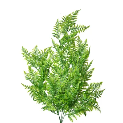 Immagine prodotto di Pianta artificiale Clayre & Eef 80 cm plastica verde