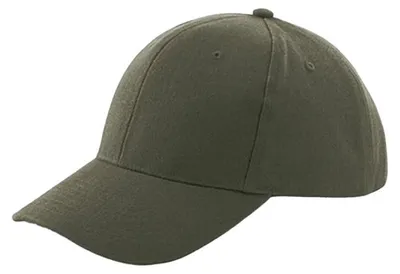 Image de Beechfield - Casquette de baseball « Pro-Style » pour hommes/femmes Unie LT645 (taille unique) (olive)