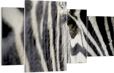 Produktbild von Bild auf Leinwand - Leinwandbild - Zebra Streifen Tierwelt Safari - 120x70cm - Wand Bild - Wanddeko - Leinwanddruck - Bilder - Kunstdruck - Wanddekoration - Leinwand bilder - Wandkunst - DL120x70-2195