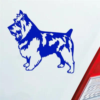Produktbild von Auto Aufkleber Terrier Tier Hund Dog Animal 11x10 cm Dunkelblau Sticker Heckscheibenaufkleber