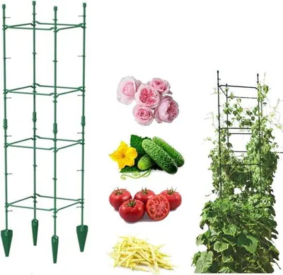 Produktbild von Kletterhilfe für Pflanzen und Tomaten - Höhe 120 cm