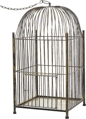 Produktbild von BELIANI Laterne Gold Vogelkäfig aus Eisen 62 cm Vintage Look Antik Optik Deko Wohnaccessoires