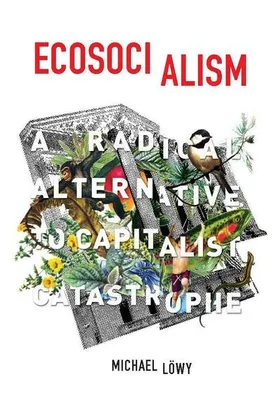 Produktbild von Ecosocialism – Lingua: Inglese