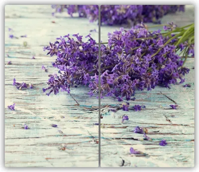 Produktbild von Tulup Glas-Herdabdeckplatte - 2x30x52cm - Glaskeramikkochfeld-Abdeckung Spritzschutz Zweiteilig Lavendel