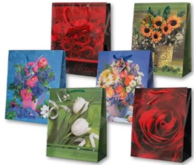 Immagine prodotto di sacchetto regalo 12pz. 18x22 FIORI | PL-2