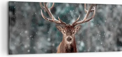 Produktbild von Bild auf Leinwand - Leinwandbild - Einteilig - Hirsch Hirsch Winter - 120x50cm - Wand Bild - Wanddeko - Wandbilder - Leinwanddruck - Bilder - Wanddekoration - Leinwand bilder - AB120x50-4998