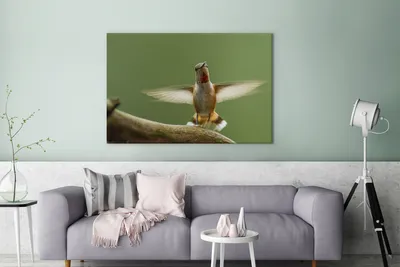 Zdjęcie produktu dla OneMillionCanvasses® - Obrazy na płótnie - 140x90 cm, Koliber - Ptak - Drzewo, Dekoracja ścienna - Zdjęcie na płótnie - Obraz na drewnianej ramie
