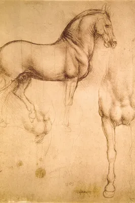 Produktbild von Leonardo Da Vinci Kunstdruck Bild - Pferdestudie, 1493-1494 (180 x 120 cm)