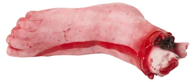 Obrázek produktu pro Widmann 81607