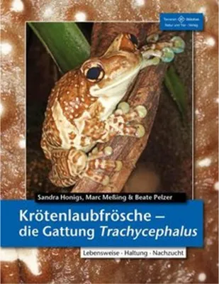 Image de Krötenlaubfrösche