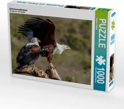 Produktbild von CALVENDO Puzzle Schreiseeadlerpaar 1000 Teile Puzzle quer | 1000 Teile Lege-Größe 64x48cm Foto-Puzzle für glückliche Stunden