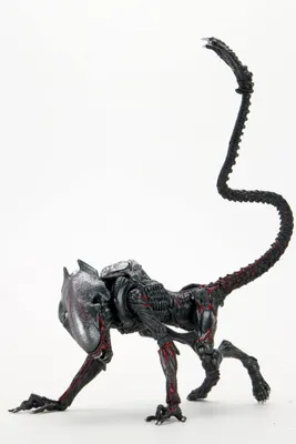 Image de NECA Aliens Figurine Night Cougar Alien (Kenner Tribute) 23 cm NECA51716