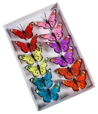 Feder-Vlinder-Deko-Set, 12 St., 6 Farben, mit Clips