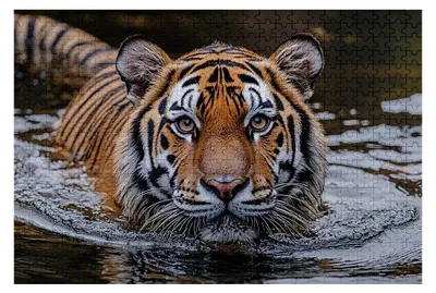 Productafbeelding van 4000 Stukken Dierenpuzzel 141 x 87 cm voor Volwassenen