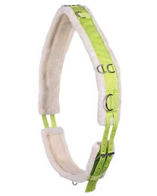 Produktbild von QHP Ontario Longiergurt, Größe:Shetty, Farbe:lime