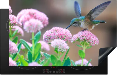 Produktbild von KitchenYeah© Herdabdeckplatte Blumen - Vogel - Kolibri , 83x51cm, Küche Deko, Glaskeramikkochfeld Herdabdeckung, Abdeckplatte fùr Kochfeld