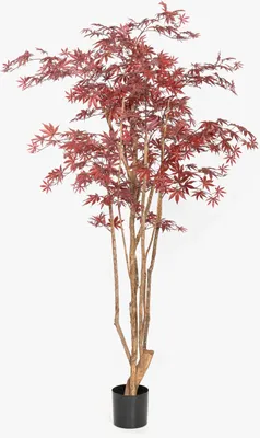 Produktbild von artplants.de Japanischer Kunst Ahornbaum ILIANU, Echtstämme, rot, 180cm - Kunstpflanze Ahorn