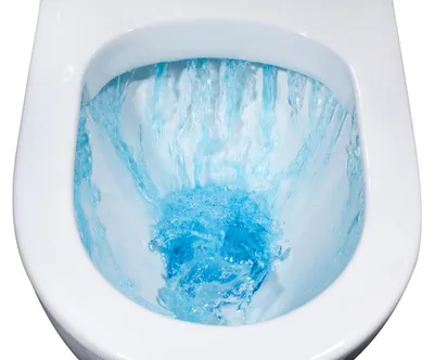 Produktbild von BERNSTEIN Spülrandloses Wand-Hänge-WC B-8030R in Weiß - Inklusive Softclose-Deckel