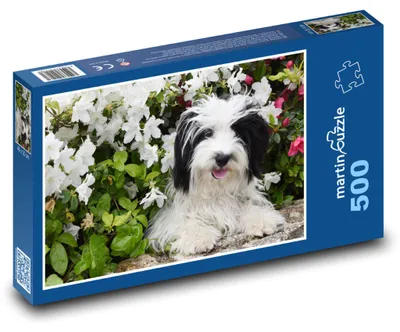 Obrázok produktu pre Puzzle 500 Pes medzi kvetmi - martinpuzzle