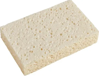 Immagine prodotto di Sacchetto con 10 spugne Azella