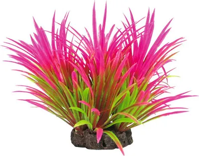 Produktbild von Kunststoff-Wasserpflanze Small Nr. 38 16 cm pink