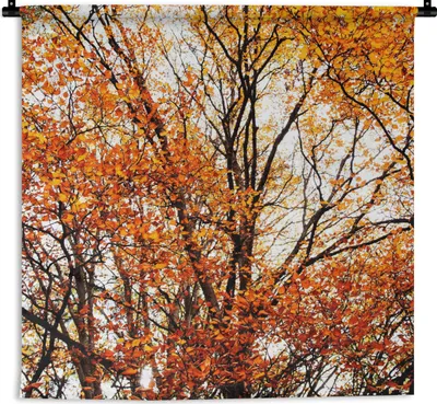 Produktbild von MuchoWow® Wandteppich Wandbehang Wald - Herbst - Jahreszeiten 60x60 cm Tapisserie Dekoration Wandtuch - Dekorationen - Wand Decke