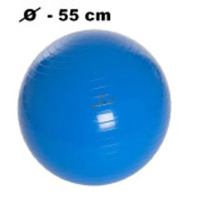 Produktbild von SPARTAN Gymnastikball 55 cm - Blau