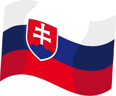 Obrázek produktu pro Vlajka SPORTTEAM® SR 135 × 90 cm
