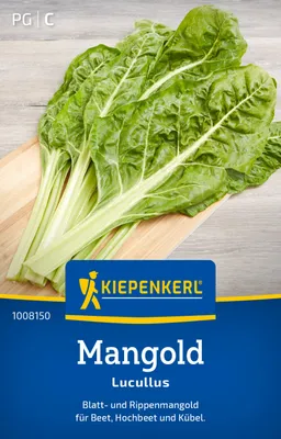 Produktbild von Kiepenkerl Mangoldsamen Lucullus Beta vulgaris vulgaris flavescens 14-16 lfd. Me