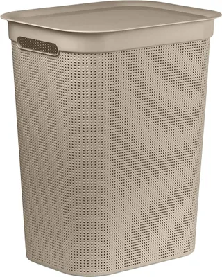 Produktbild von Rotho Wäschesammler 50 L Brisen - Wäschekorb 43,1 x 34 x 52,9 cm - Wäschebox mit Deckel und Griffen - Wäschetruhe groß - Wäschetonne aus Kunststoff