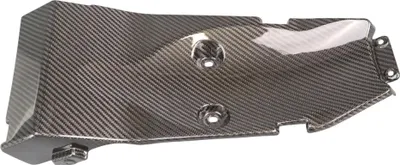 Produktbild von Carbon Heckunterverkleidung für Harley Davidson Sportster S 1250 2021-