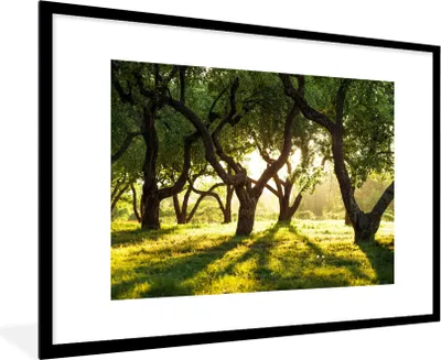Produktbild von MuchoWow® Gerahmtes Poster Bäume - Natur - Sonne 90x60 cm - Poster mit Schwarzem Bilderrahmen Wandposter Rahmen Foto Bilder - Wanddekoration - Fotos