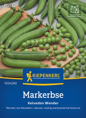 Produktbild von Kiepenkerl Markerbsensamen Kelvedon Wonder Pisum sativum medullare 8-10 lfd. Meter