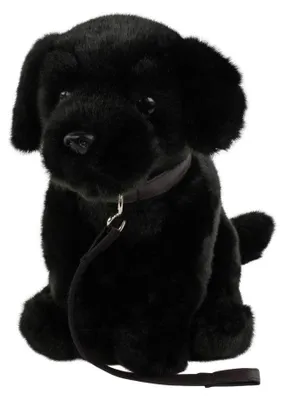 Productafbeelding van Solidchoice - Pluche Labrador Zwart 35 cm met Halsband