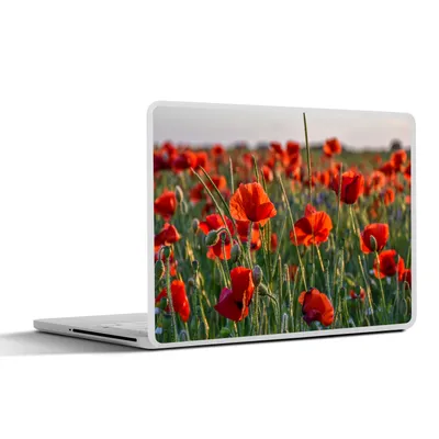 Produktbild von MuchoWow® Laptop Aufkleber Sticker Cover Blumen - Mohnblumen - Natur - Rot 25x18 cm - Laptop-Deko
