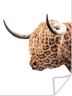 Produktbild von MuchoWow® Poster Schottischer Highlander - Weiß - Pantherdruck 90x120 cm - Wohnzimmer