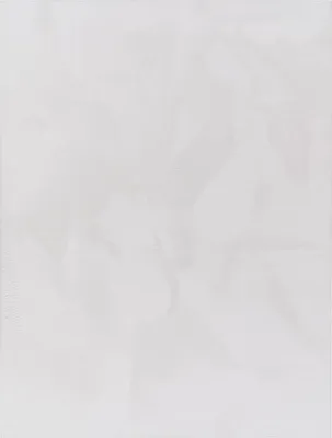 Produktbild von TT Home Wohnzimmer Teppich Hochflor Langflor Kunstfell Weich Modern Unifarben Flauschig Größe 120x160 cm