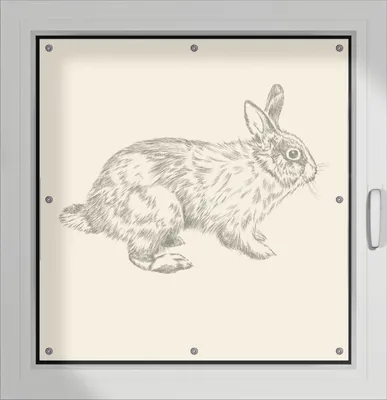 Produktbild von Wallario Lichtschutzbild, Dekorativer Sichtschutz Sonnenschutz 96 x 93 cm mit Motiv: Hase als illustrierte Bleistiftzeichnung - Verdunklung ohne Bohren