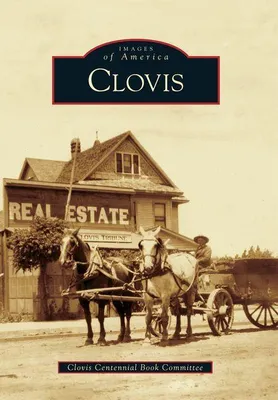 Produktbild von Clovis