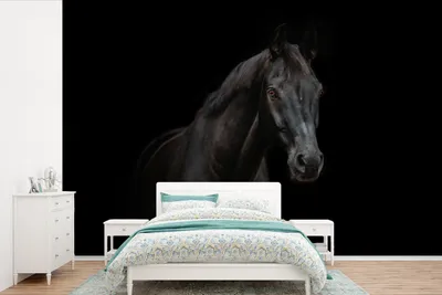 Produktbild von MuchoWow® Fototapete für Wohnzimmer oder Schlafzimmer Wandtapete Vinyl Motivtapete Pferd - Nutztier - Schwarz - 420x280 cm - Zimmer für Kinder