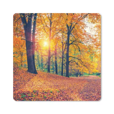 Produktbild von MuchoWow® Mauspad Mousepad Bäume - Herbst - Wald - Herbstliche Blätter 20x20 cm - Mousepads - Maus Mat - Pad - Mausunterlage - Desk Mat - Bureauartikeln