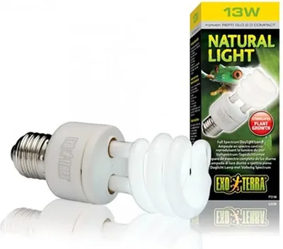 Produktbild von Exo Terra PT2190, 13 W, 1 Stück(e), 6700 K