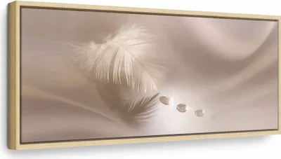 Produktbild von Italienischer Leinwand Leinwandbild - Delicate Feather 90x30 cm Abstrakt b-C-0160-b-a