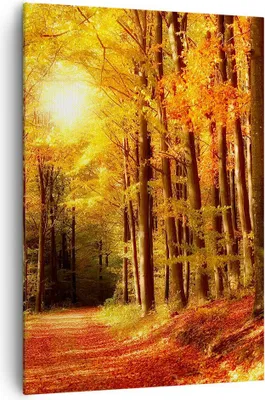 Produktbild von Bild auf Leinwand - Leinwandbild - Einteilig - Pfad Blätter Wald - 70x100cm - Wand Bild - Wanddeko - Wandbilder - Leinwanddruck - Wanddekoration - Leinwand bilder - Wandbild - PA70x100-0171