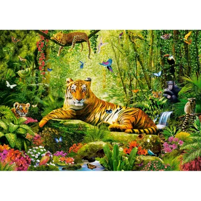 Image de Puzzle CASTORLAND Tiger Majesty 500 pièces